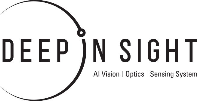 Deep-In-Sight Logo